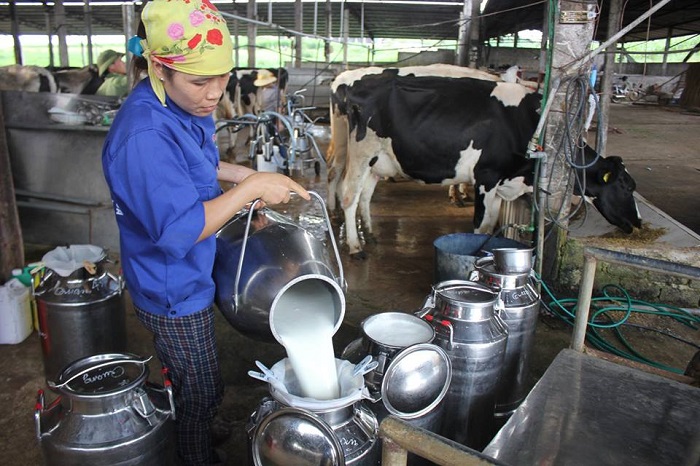 Công nghệ cao tạo thương hiệu sữa sạch