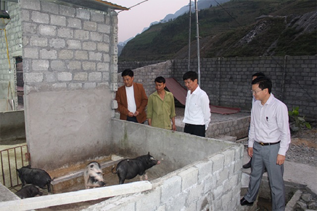 Lợn đen Lũng Pù nói không với dịch bệnh