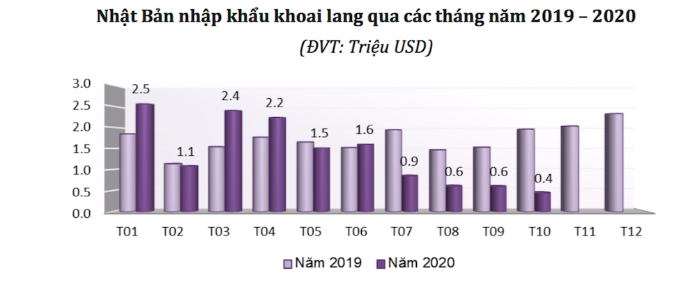Vượt Trung Quốc, khoai lang Việt Nam bán sang Nhật giá hơn 2.000 USD/tấn