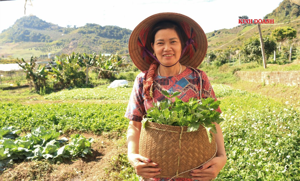 Bước chuyển mình ở HTX An Tâm Mộc Châu