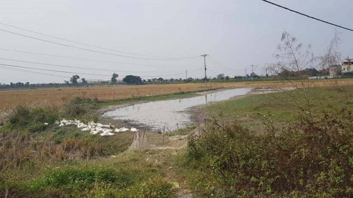 Bắc Ninh: Rao bán đất nền khi dự án vẫn còn là... ruộng