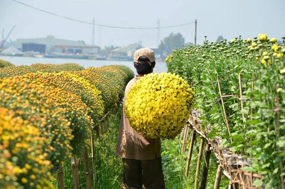 HTX Xáng Mới: Mang hương sắc cho ngày Tết
