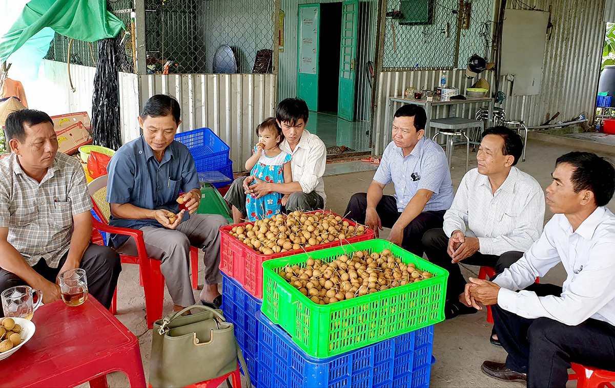 HTX Thái Thanh hái trái ngọt nhờ sản xuất sạch