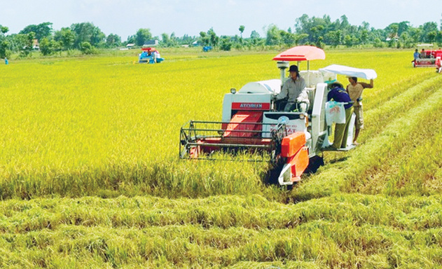 Thủ tướng phê duyệt Đề án nhân rộng mô hình hợp tác xã kiểu mới