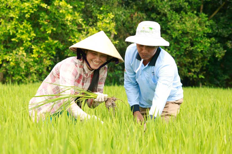 ‘Luật chơi’ cho nông nghiệp hữu cơ