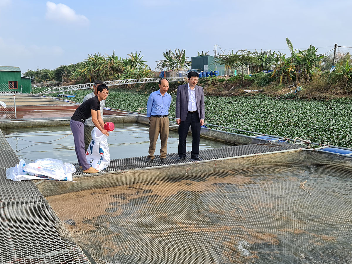 Hải Dương: Nông sản của các HTX nông nghiệp điêu đứng vì Covid - 19