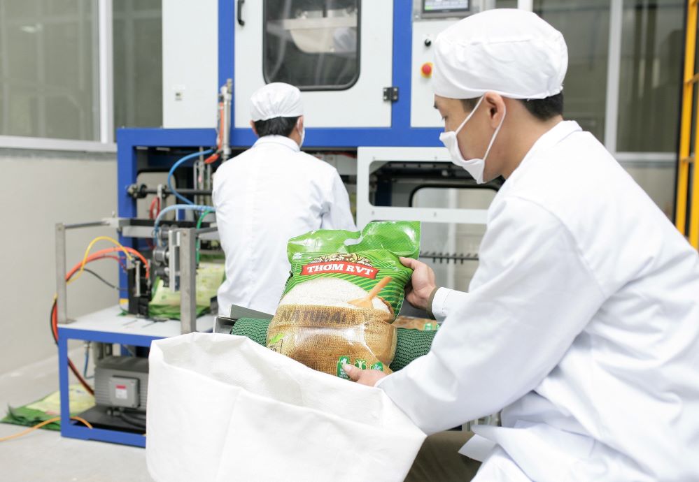 Giá gạo xuất khẩu tăng 15,4% so với cùng kỳ, vượt 550 USD/tấn