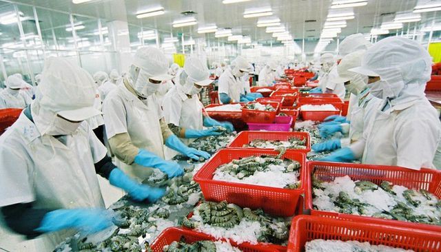 Nhật Bản đứng đầu tiêu thụ thủy sản Việt Nam