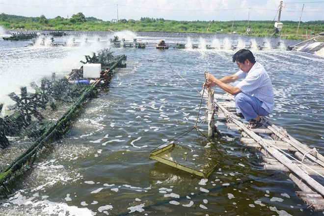 Phát triển HTX kiểu mới: Đòn bẩy phát triển nông nghiệp, nông thôn