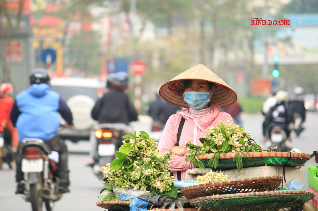 Hoa bưởi đầu mùa xuống phố, thu hút khách Hà thành