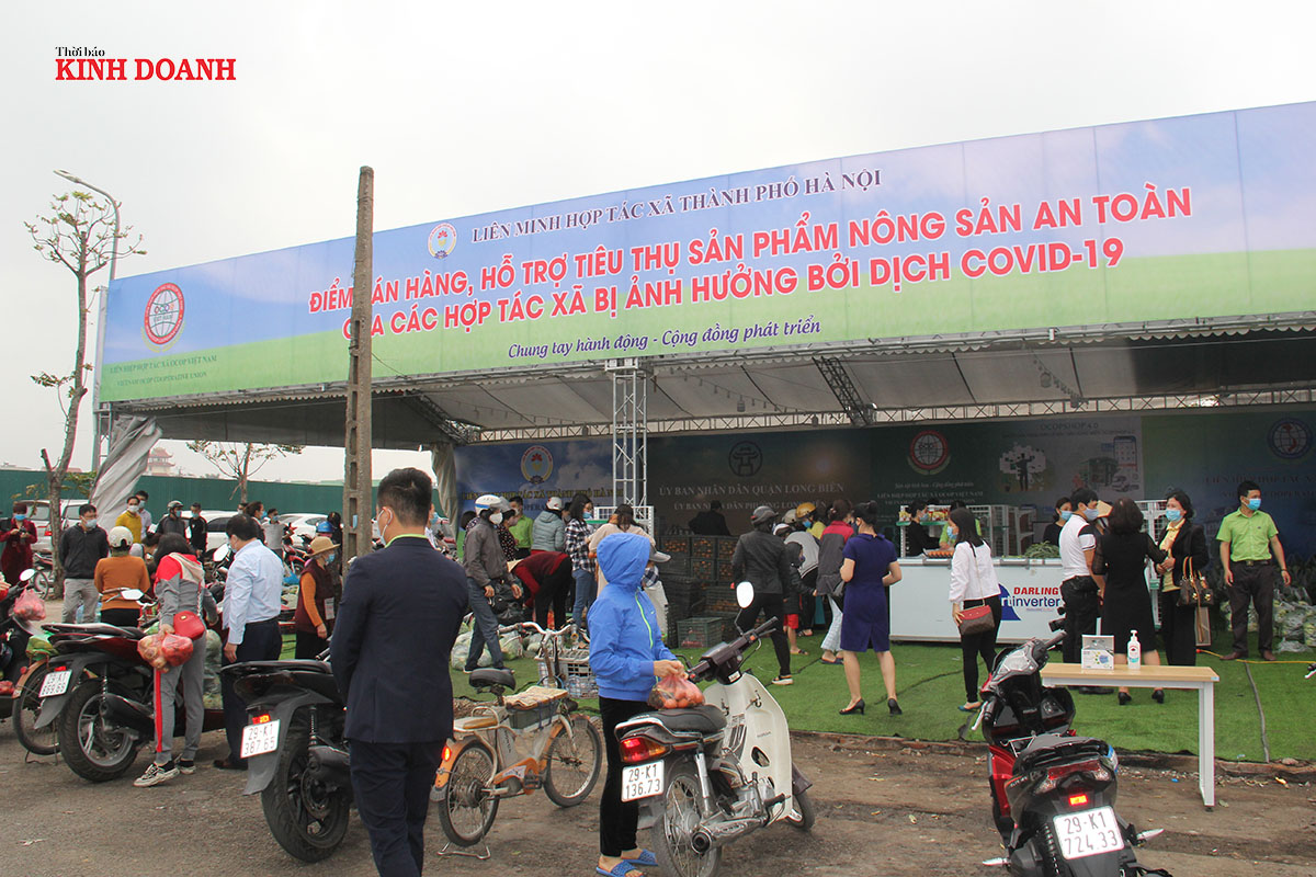 Tiếp tục mở rộng điểm bán hàng hỗ trợ các HTX bị ảnh hưởng bởi dịch Covid-19