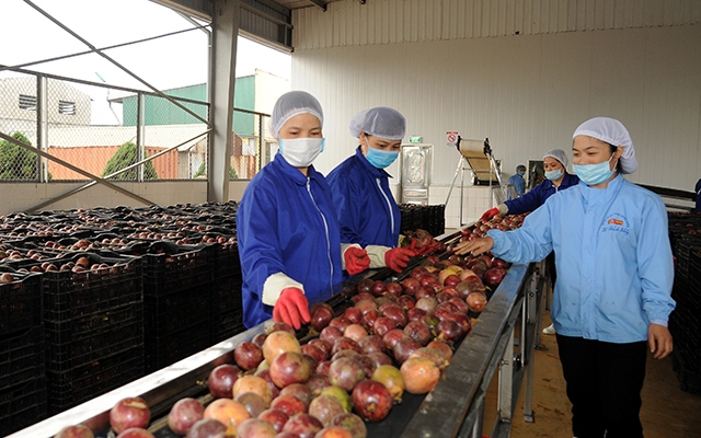 2 tháng, xuất khẩu nông sản thu về hơn 6 tỷ USD