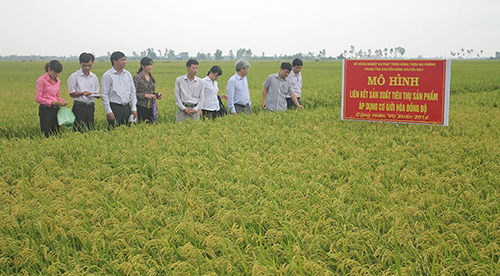 Cần một 'cú hích mạnh'