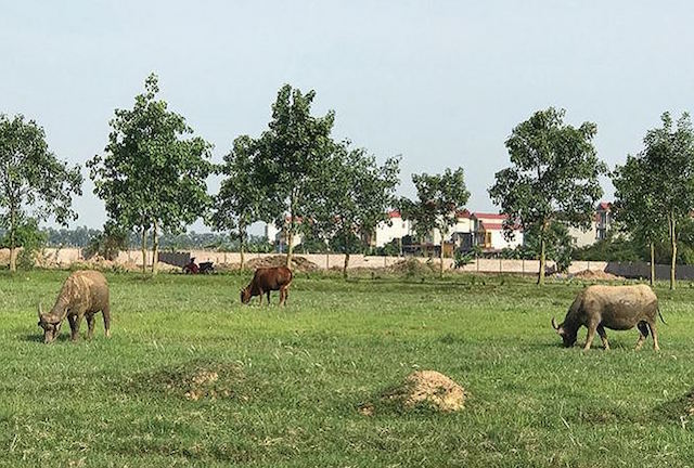 Hà Nội tái giám sát các dự án chậm tiến độ