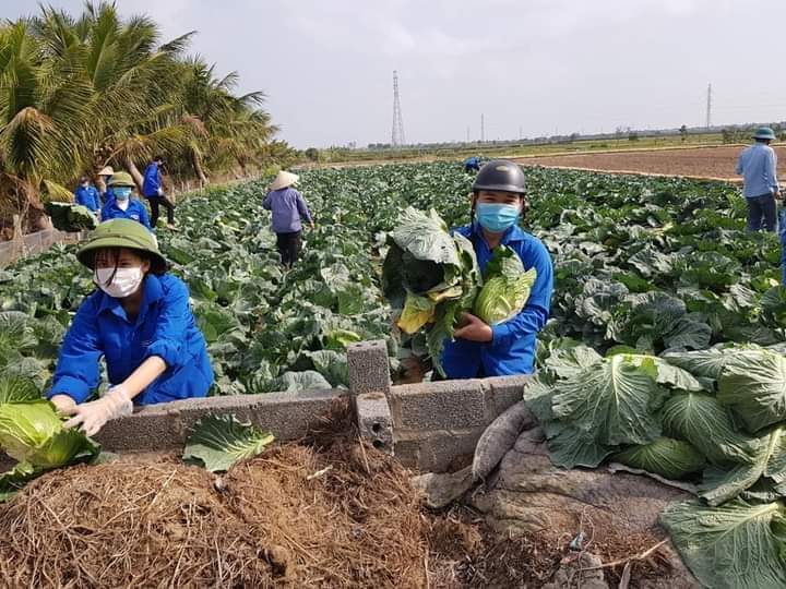 Hải Phòng: Chuẩn bị khởi công nhà máy chế biến nông sản công suất 24.000 tấn/năm
