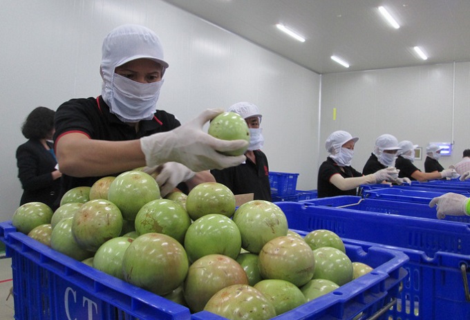 'Nâng vai' của HTX nông nghiệp trong phát triển chuỗi
