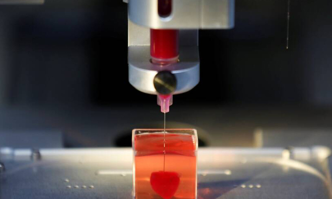<p>
Lần đầu tiên, các nhà khoa học của Đại học Tel Aviv, Israel đã in 3D một trái tim bằng mô người.<br /><br />Trái tim được thiết kế từ các tế bào và vật liệu sinh học của một bệnh nhân. Các nhà khoa học cho đến nay chỉ thành công trong việc in mô, không có mạch máu. Đây là lần đầu tiên các nhà khoa học thiết kế và in thành công toàn bộ một trái tim bao gồm tất cả các tế bào, mạch máu, tâm thất và các khoang.<br /><br />Bước tiếp theo là dạy trái tim hoạt động giống như trái tim con người. Những ca cấy ghép đầu tiên sẽ được thực hiện trên động vật, sau đó sẽ được áp dụng cho con người.</p>
