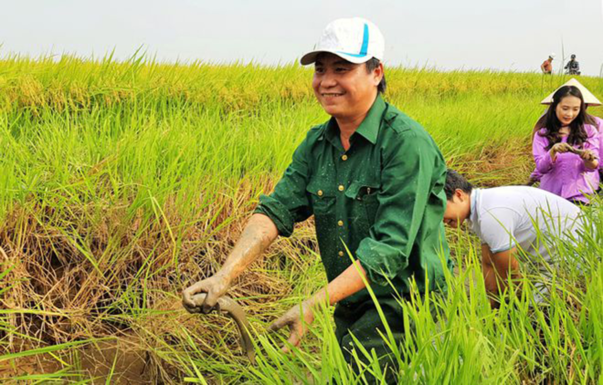 'Thay da đổi thịt' nhờ nông nghiệp hữu cơ