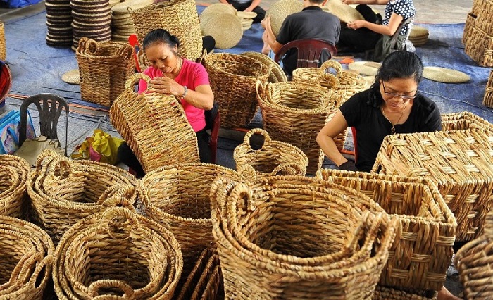 HTX Vĩnh Phước: Nâng cao năng lực cạnh tranh bằng sản phẩm xanh