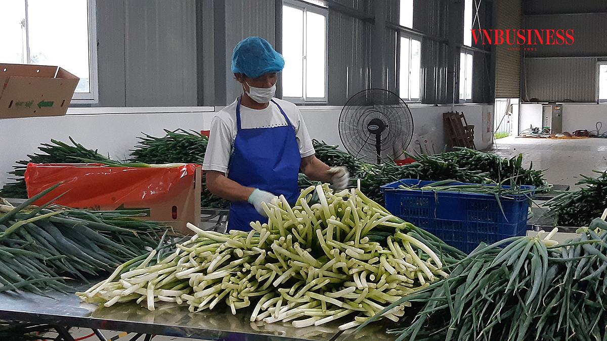 HTX An Hưng: Kinh doanh đa ngành, thành công bền vững