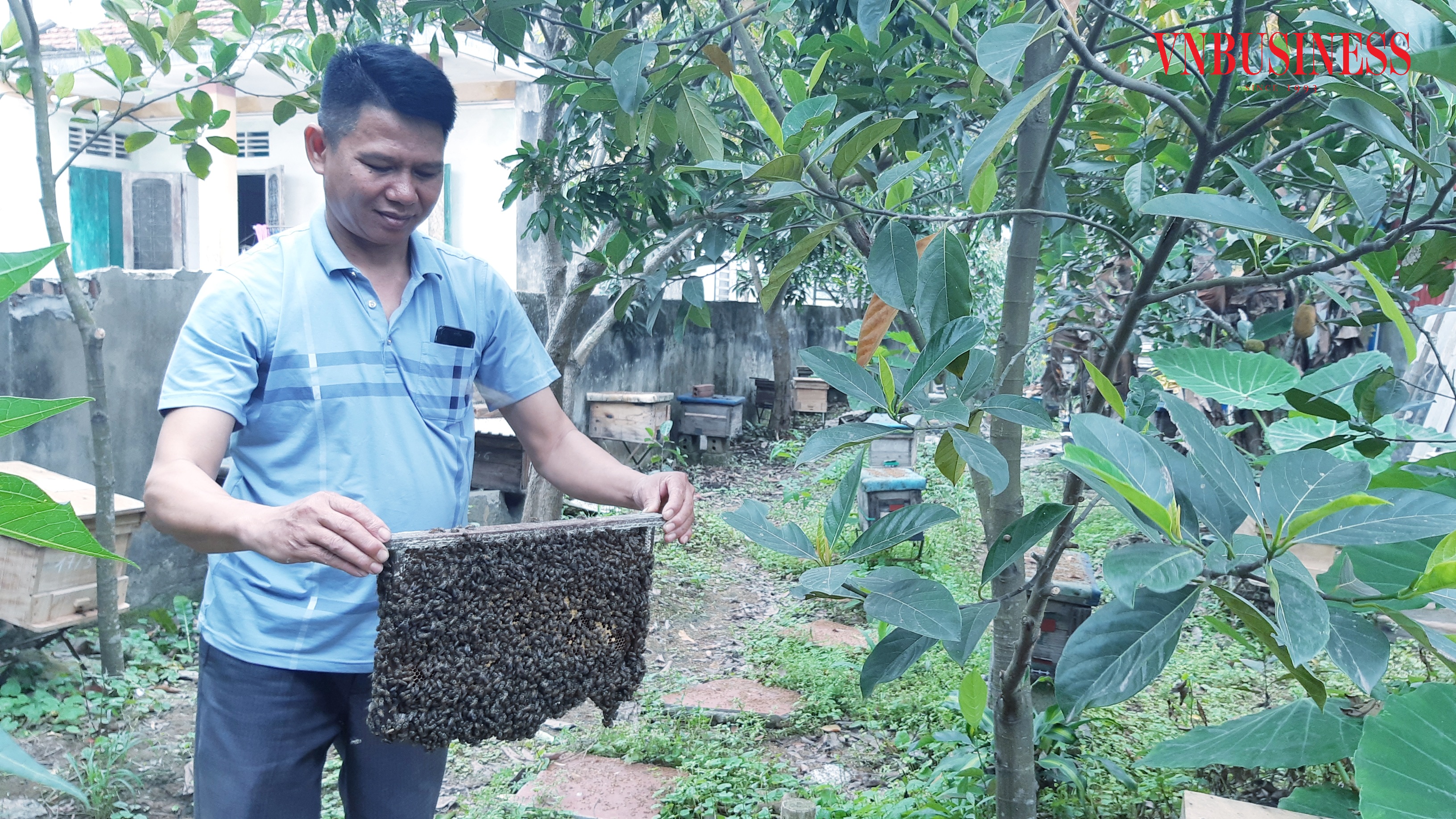 Ngọt ngào mật hoa rừng ngập mặn