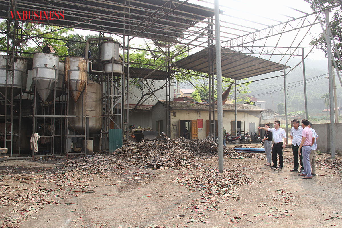 Bài 3: Thơm nồng vị hương quế