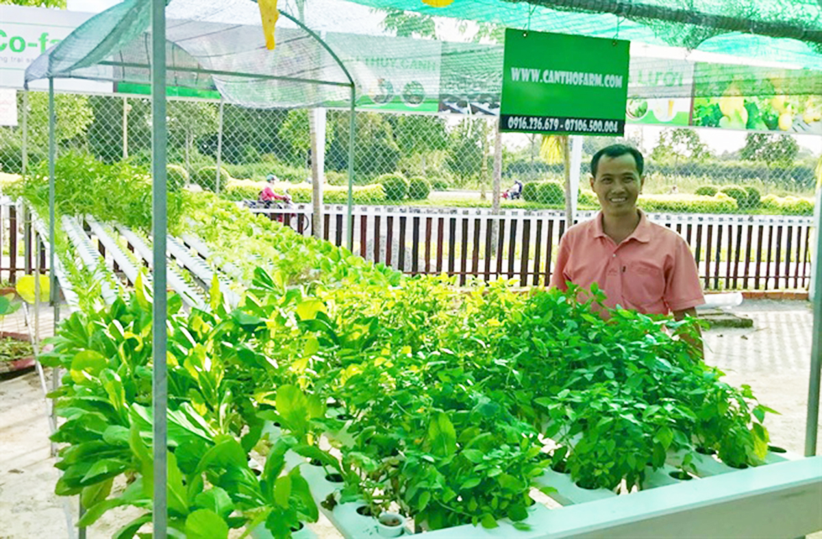 Bước chuyển trong nông nghiệp sạch ở Cần Thơ