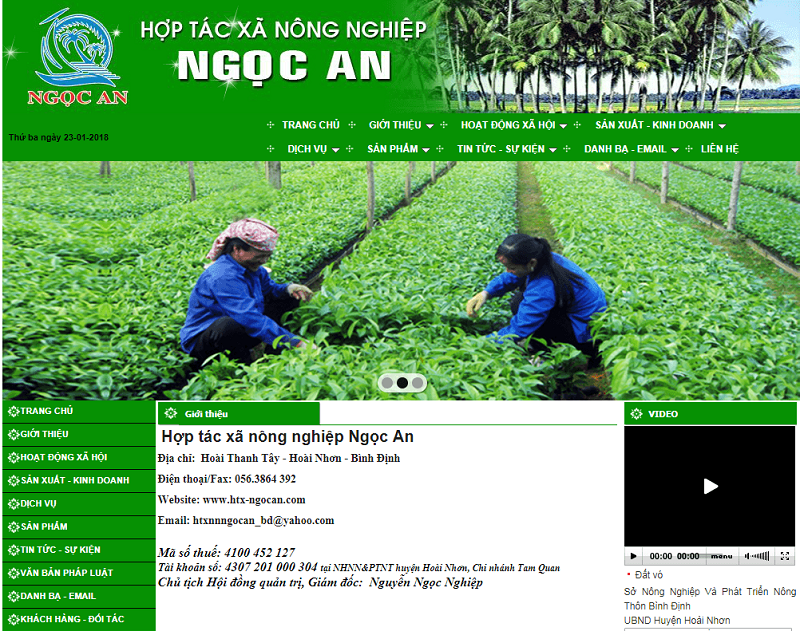 Xây dựng website và chuyện nâng tầm thương hiệu cho HTX