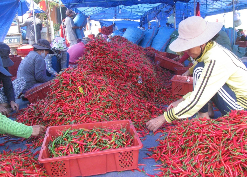 Giá nông sản 'nhảy múa' và nỗi bất an của người nông dân