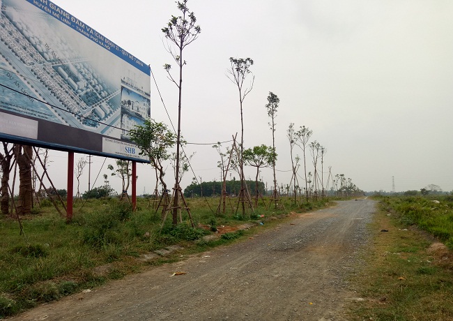 Thứ trưởng Bộ Xây dựng 'giải mã' 5 nguyên nhân gây nên cơn sốt đất