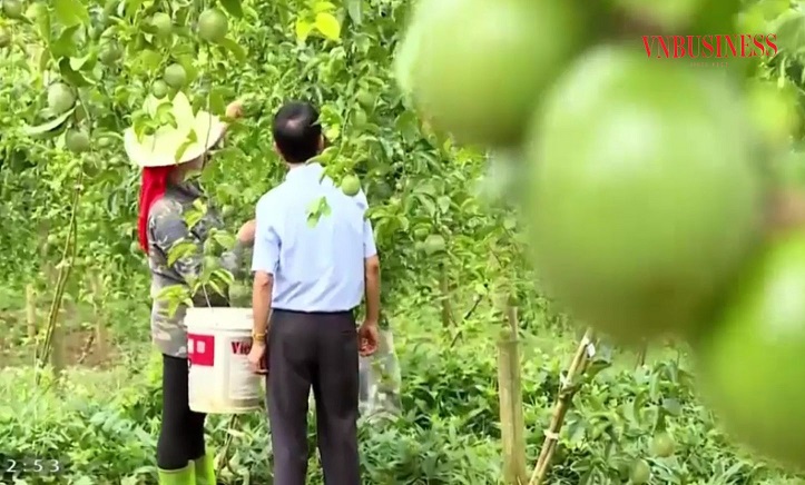 Bài 2: Đánh thức tiềm năng cây ăn quả