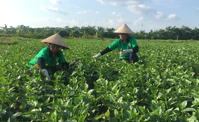 Tam Đảo xây dựng khối đại đoàn kết (Bài 1): Sức sống mới ở huyện miền núi