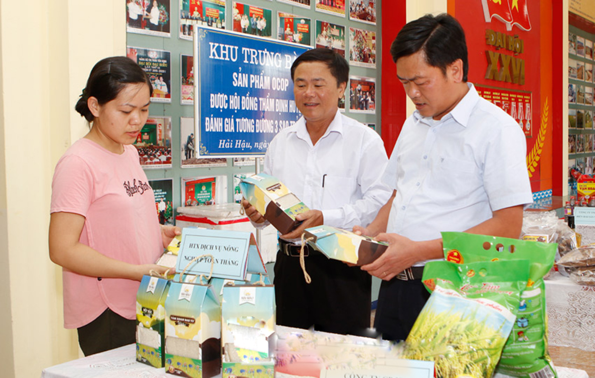 Dựng 'hàng rào xanh' để phục tráng giống lúa truyền thống
