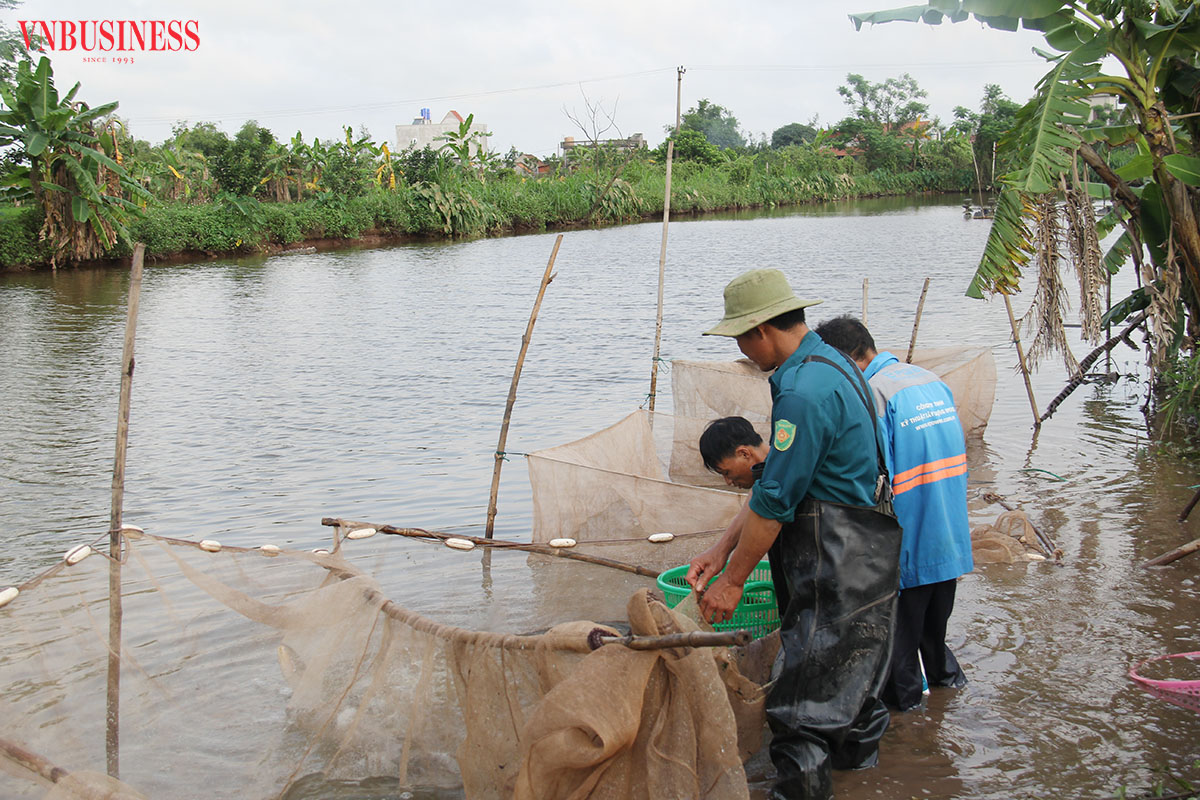 Kinh tế tập thể trong vùng đồng bào có đạo ở Ninh Bình (Bài 3): Đẩy mạnh phát triển nông nghiệp theo hướng đa canh
