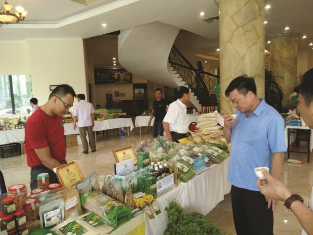 Để XTTM không là 'bài toán khó' đối với HTX