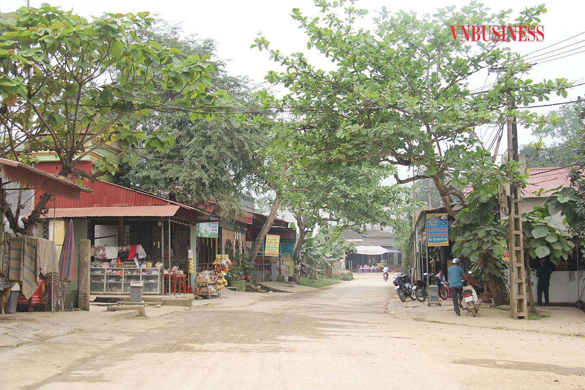 Phát triển vùng Trung du và miền núi phía Bắc (Bài 2): Chung tay tạo nên động lực mới