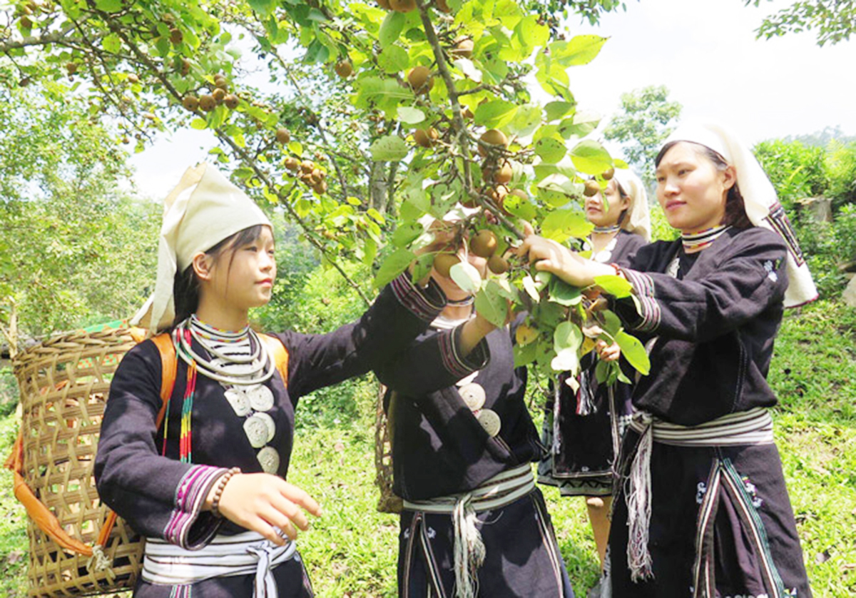 Làm giàu trên đất khó Khâu Tinh (Bài 1): Địa phương 'sát cánh' cùng bà con dân tộc