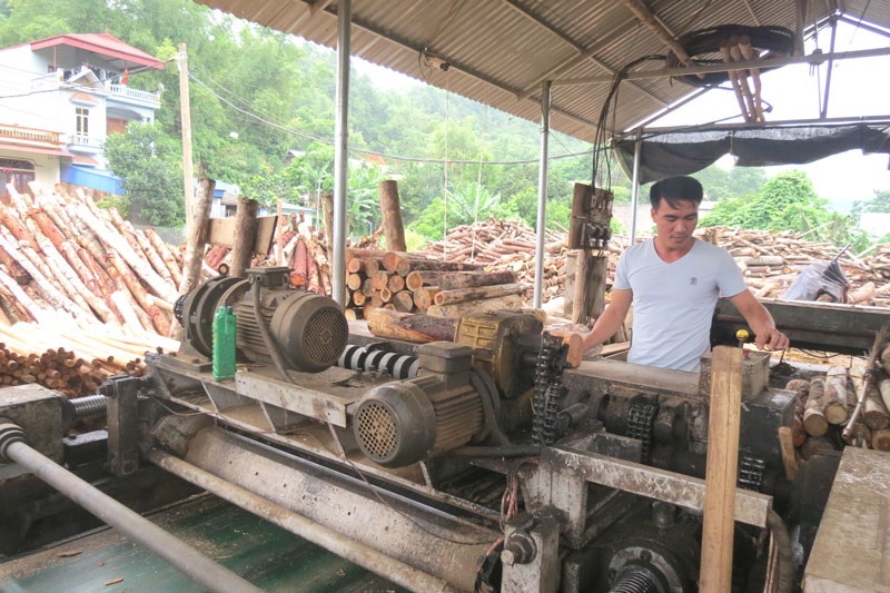 HTX Hương Phong: Từng bước xây dựng chuỗi bền vững