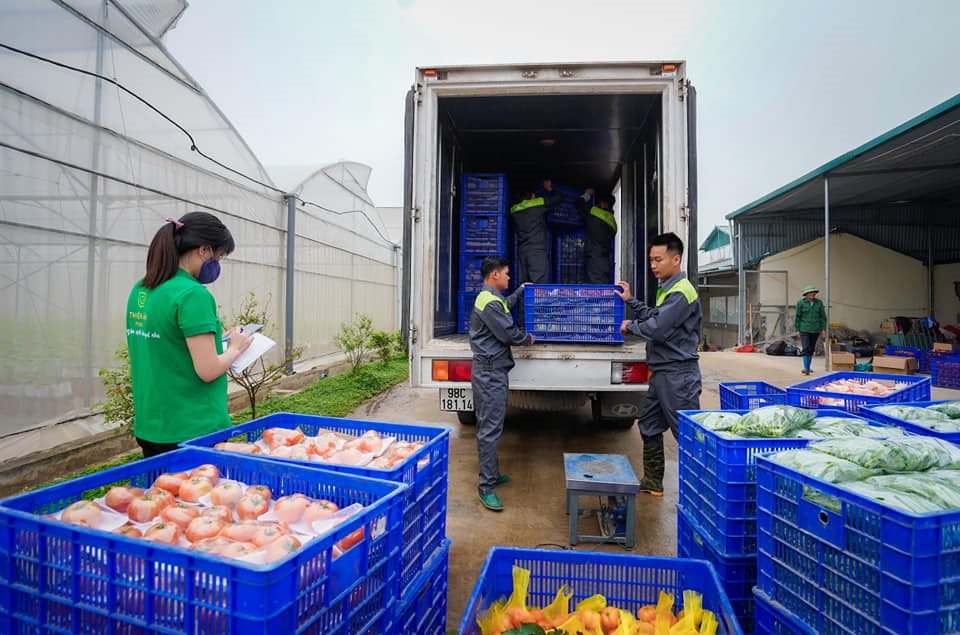 Công nghệ hậu thu hoạch mở đầu ra cho HTX