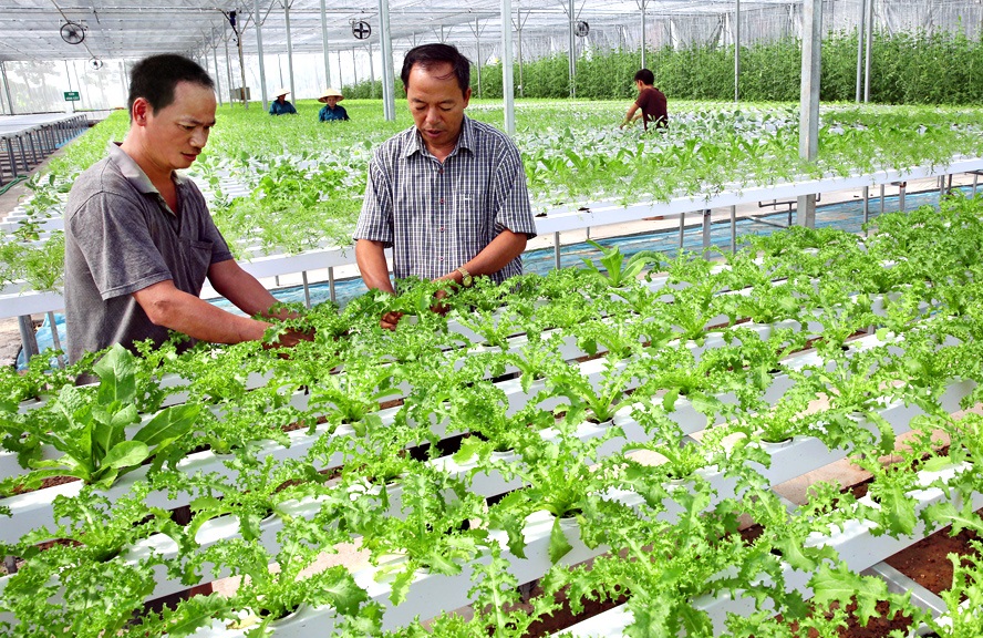 Khơi thông 'dòng chảy' công nghệ cho các HTX