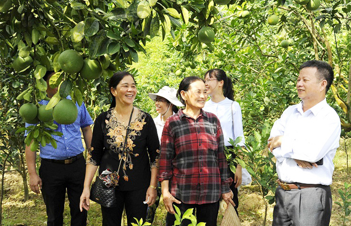 Đông Sơn đánh thức nông nghiệp sinh thái