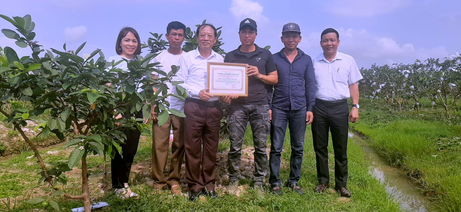 Để khu vực KTTT, HTX ở Hải Phòng phát triển bền vững