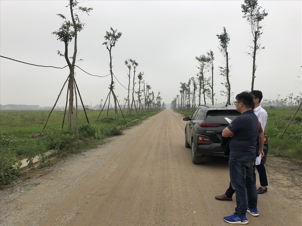 Phó Thủ tướng chỉ đạo xử lý nghiêm đối tượng đẩy giá bất động sản lên cao