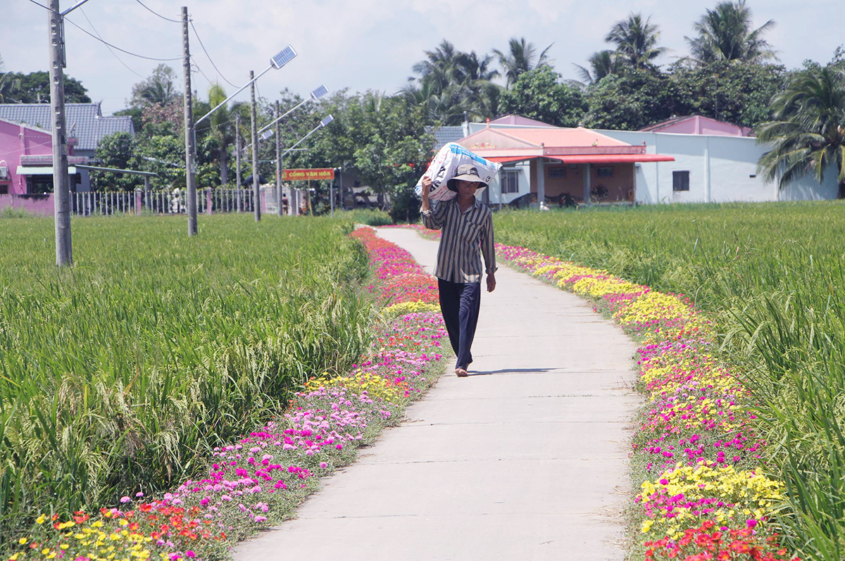 Sức sống mới của người Khmer huyện Cờ Đỏ (Bài 1): Điểm tựa từ chính sách hỗ trợ