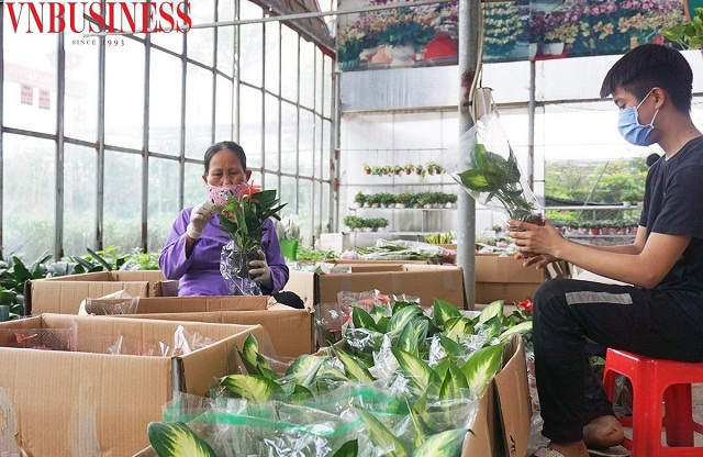 'Làng hoa trẻ' Xuân Quan: Xây dựng môi trường xanh để phát triển du lịch sinh thái