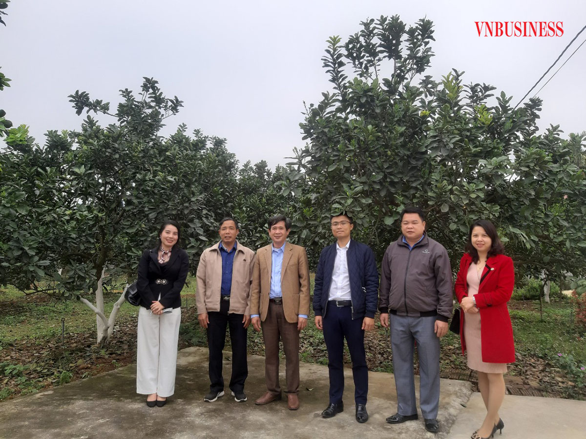 Ứng dụng công nghệ 4.0 đưa HTX lên tầm cao mới