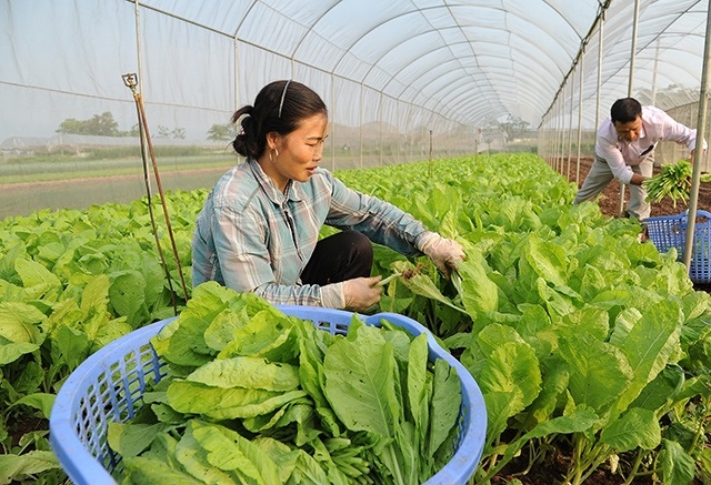HTX Trung Nhứt: Gắn sản xuất với bảo vệ môi trường