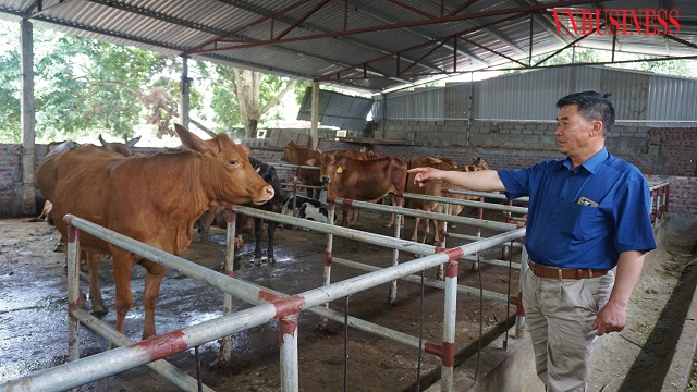 Bản Mường Phú Mãn đổi thay từ chương trình 135 (Bài 2): Phát huy vai trò HTX trong xây dựng nông thôn mới