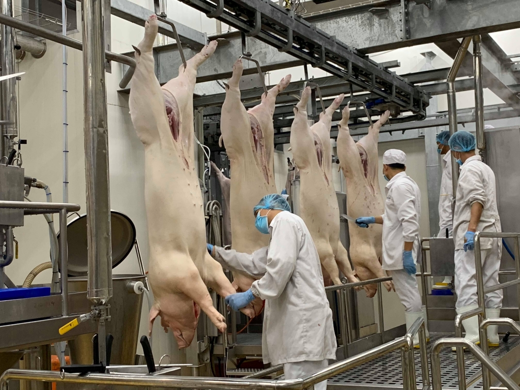 Thị trường nông sản ngày 17/5: Giá lợn hơi biến động nhẹ, cà phê 'đi ngang'