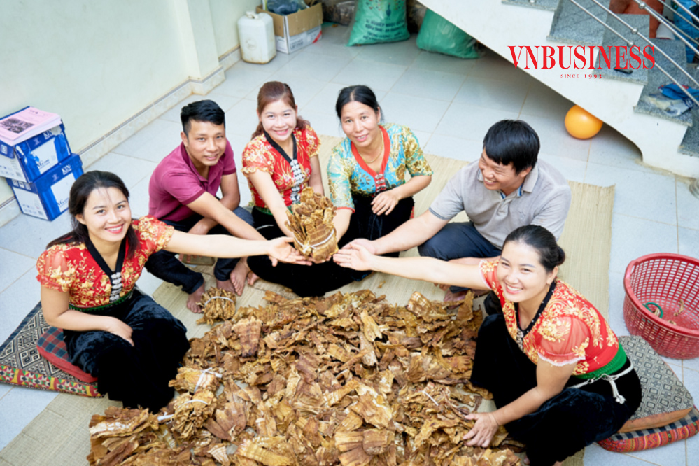 Phụ nữ dân tộc thiểu số tham gia chuỗi giá trị nông sản (Bài 2): Măng tre thúc đẩy kinh tế hợp tác